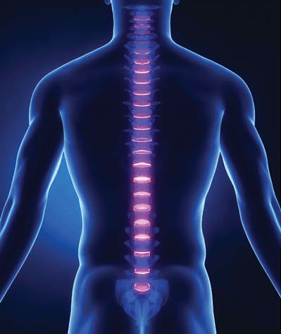 Why Chiropractors Promote Good Posture?