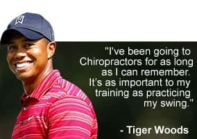 tiger wood