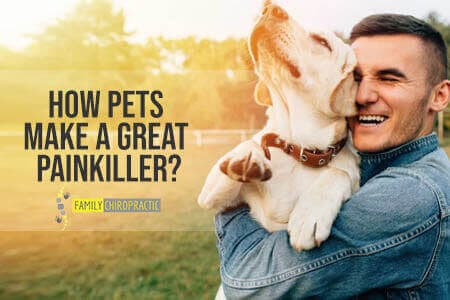 How Pets Make A Great Painkiller