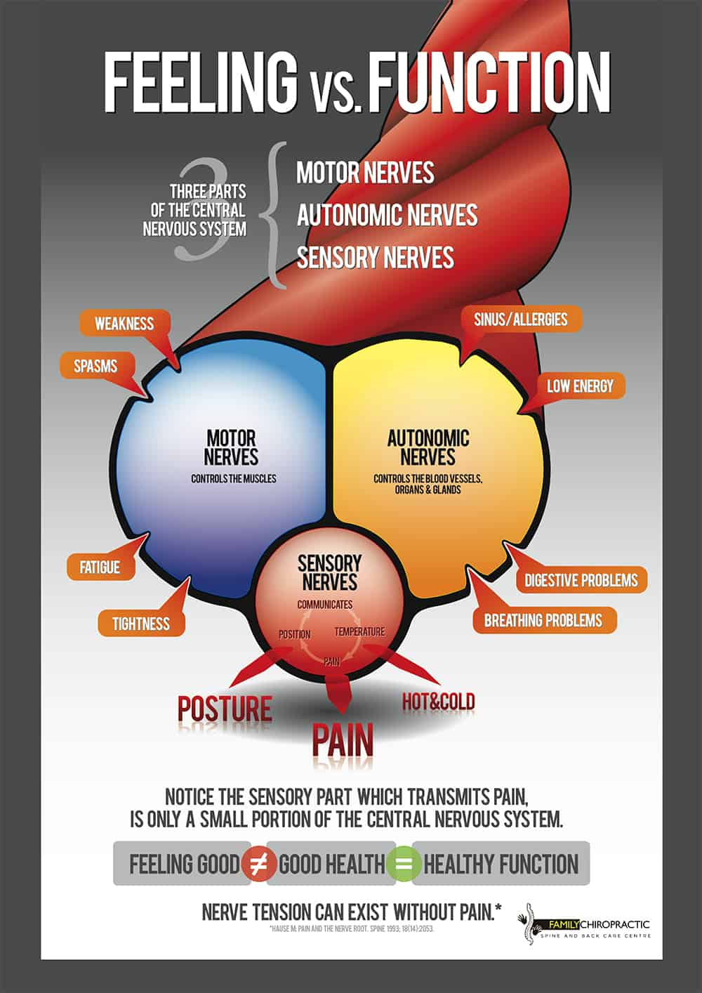 What is an Adjustment? - Merckling Family Chiropractic